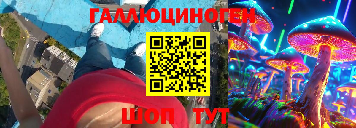 Сегежа  Галлюциногенные грибы мицелий  Вход с VPN 